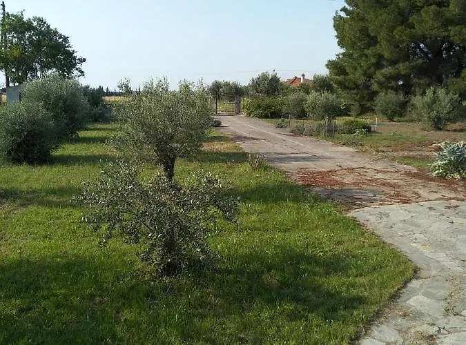 Potamos 埃帕诺米