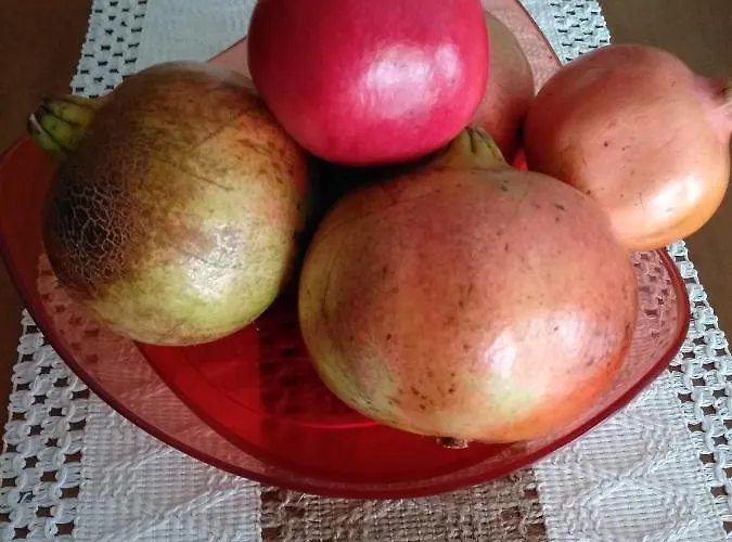 Potamos 埃帕诺米